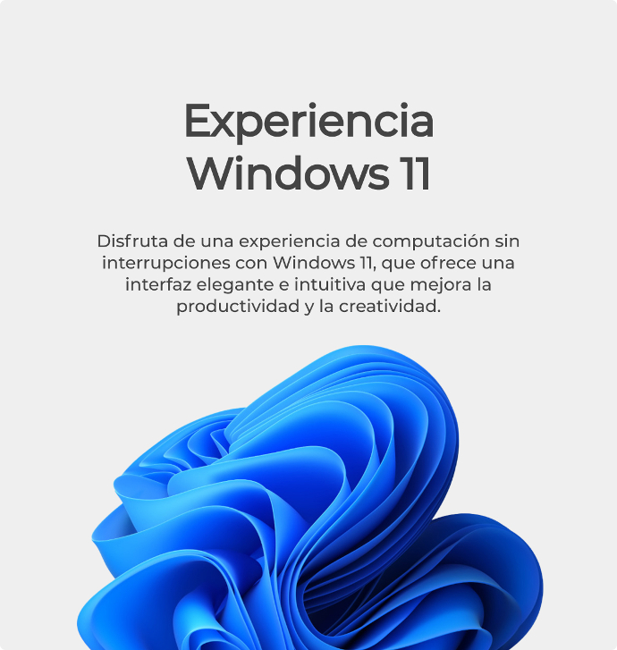 Experiencia Windows 11